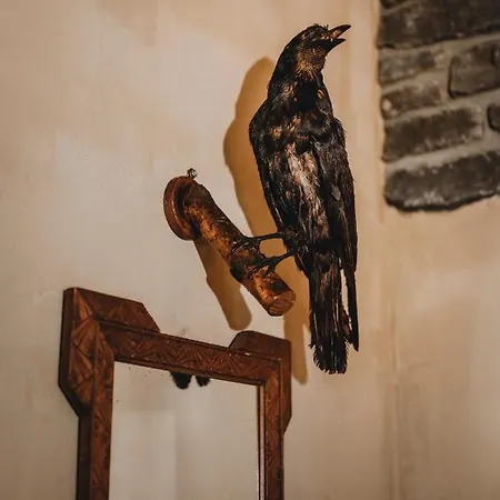 Le Fantome De Berthe Logement-attraction Insolite カプセルホテル *