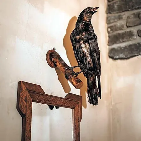 Le Fantome De Berthe Logement-attraction Insolite カプセルホテル